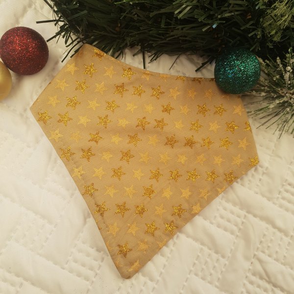 Eve Christmas Bib